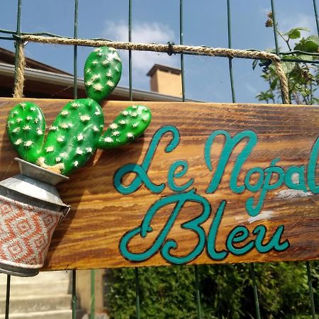Апартаменты Le Nopal Bleu Тараскон-сюр-Арьеж Экстерьер фото