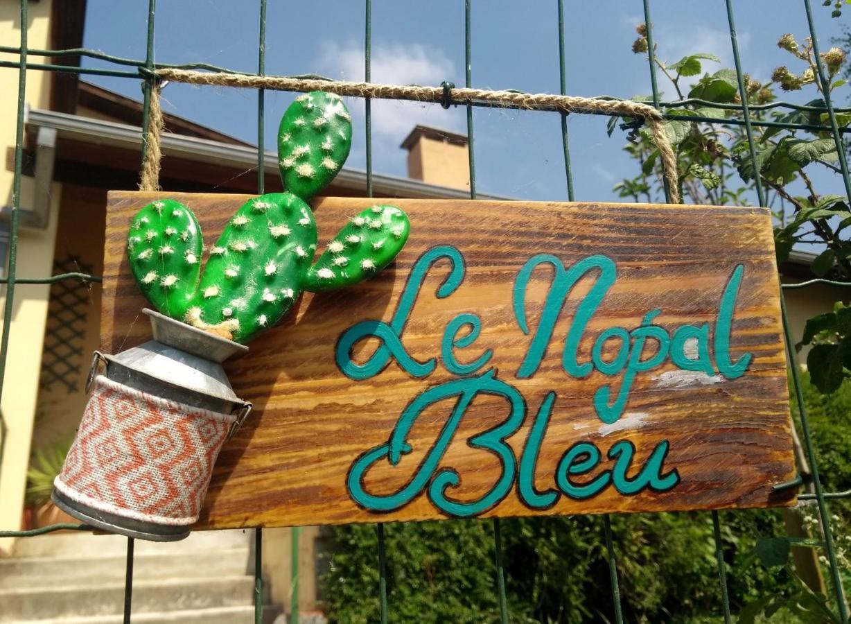 Апартаменты Le Nopal Bleu Тараскон-сюр-Арьеж Экстерьер фото